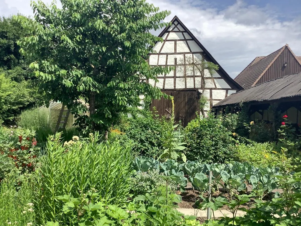 Gasthof Hirschenbraeu Michel Rauhenebrach